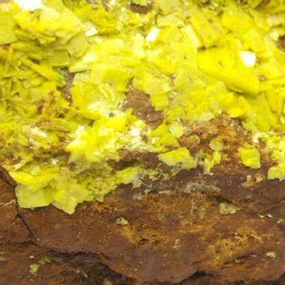 Autunite, Peny, Augères-en-Razès, Haute-Vienne, Limousin.