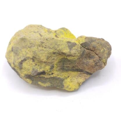 Carnotite, Colorado, États-Unis (USA).