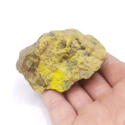 Carnotite, Colorado, États-Unis (USA).