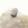 Rutile, Iragna, Tessin, Suisse.