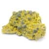 Autunite, Margnac, Haute-Vienne, Limousin.