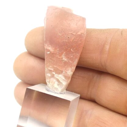 Fluorite rose, Les Courtes, Mont Blanc, Haute-Savoie.