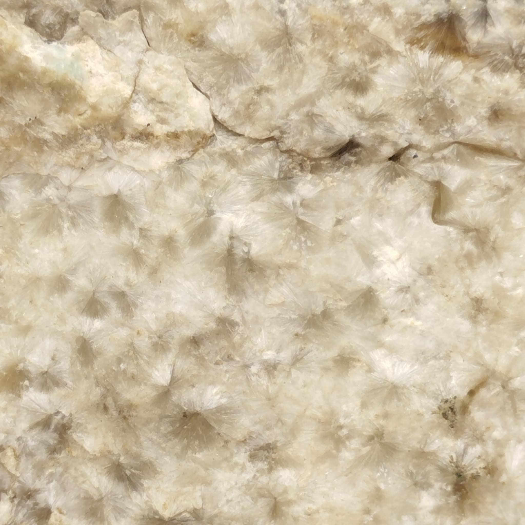 Amblygonite & Turquoise, Montebras, Creuse.