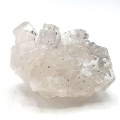 Fluorite et Galène, Mine de Fontsante, Var.