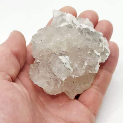 Fluorite et Galène, Mine de Fontsante, Var.