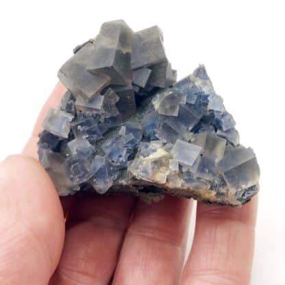 Cristaux de fluorine bleue et jaune de la mine de Montroc (Tarn).