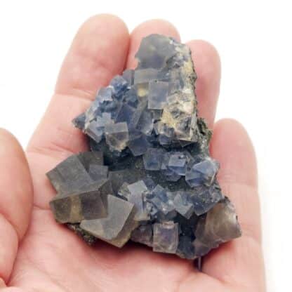 Cristaux de fluorine bleue et jaune de la mine de Montroc (Tarn).