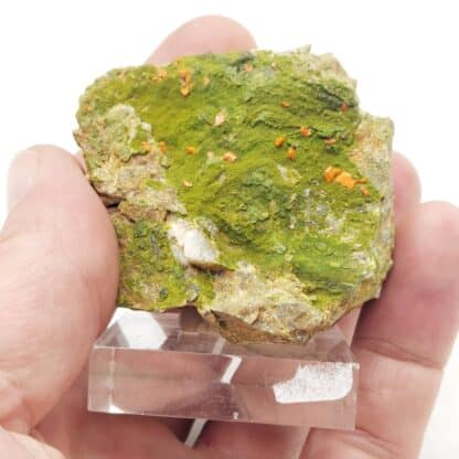 Pyromorphite et Crocoïte de Nontron, Dordogne.
