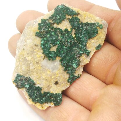 Malachite, Cap Garonne, Le Pradet, Var.