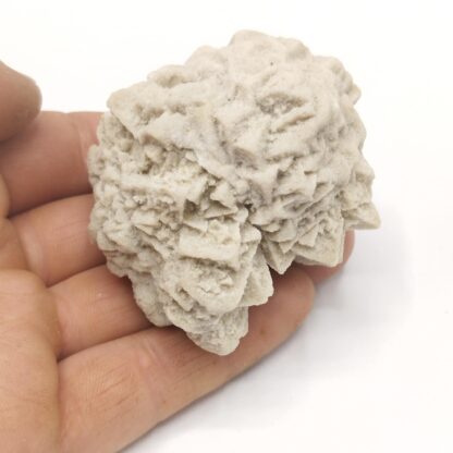 Calcite sableuse, Fontainebleau, Seine-et-Marne.