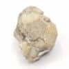 Albite, Sibérie, Russie.
