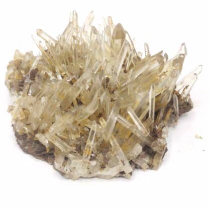 Quartz (Macle de la Gardette), Les Rivoirands, Vizille, Isère.