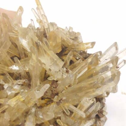 Quartz (Macle de la Gardette), Les Rivoirands, Vizille, Isère.