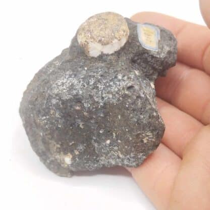 Natrolite, Puy de Marmant, Veyre-Monton, Puy-de-Dôme, Auvergne.