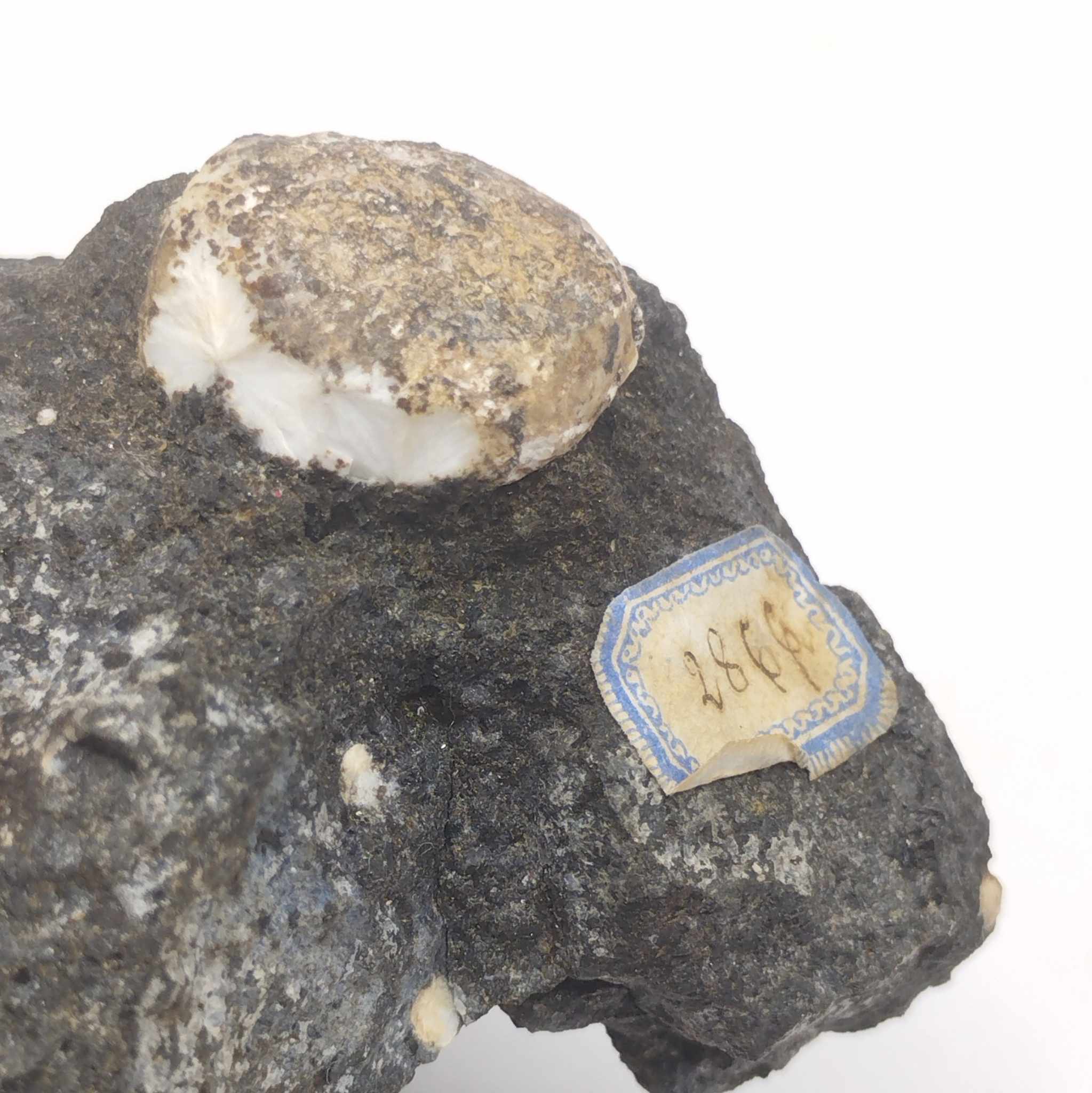 Natrolite, Puy de Marmant, Veyre-Monton, Puy-de-Dôme, Auvergne.