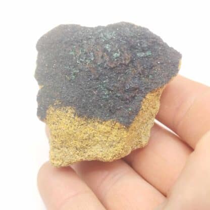 Lampadite & Malachite, Hochberg, Moselle.