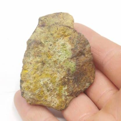 Liebigite & Zippéite, Joachimsthal (Jachimov), Tchéquie.