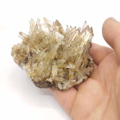 Quartz (Macle de la Gardette), Les Rivoirands, Vizille, Isère.