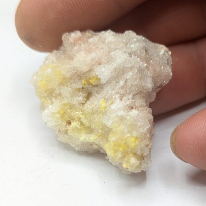 Sklodowskite sur Gypse, Cuervo Mine, Chihuahua, Mexique.