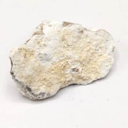 Hydrocalumite & Afwillite, Boissejour, Beaumont, Puy-de-Dôme.