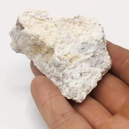 Hydrocalumite & Afwillite, Boissejour, Beaumont, Puy-de-Dôme.
