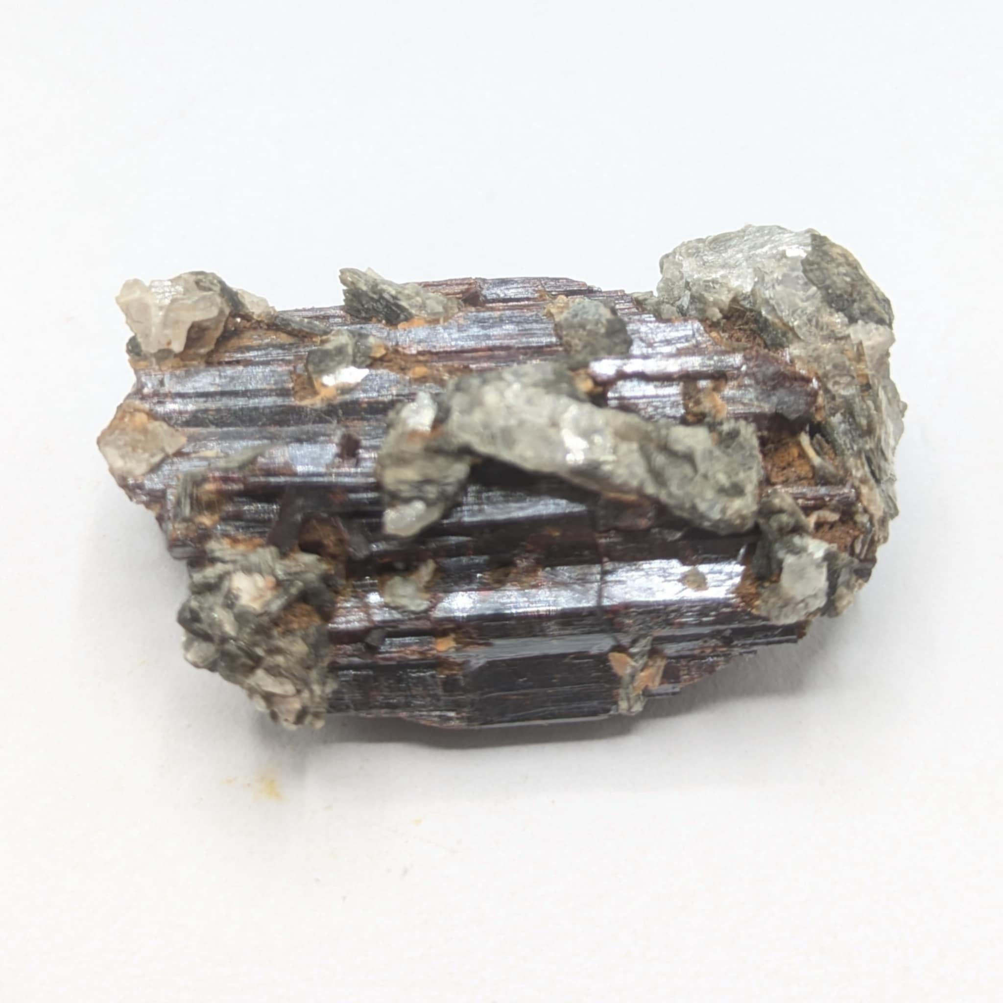 Rutile, Pfitsch (Valle di Vizze), Sud Tyrol, Italie.