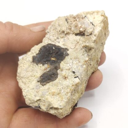 Cassitérite dans mica, Montebras, Creuse.