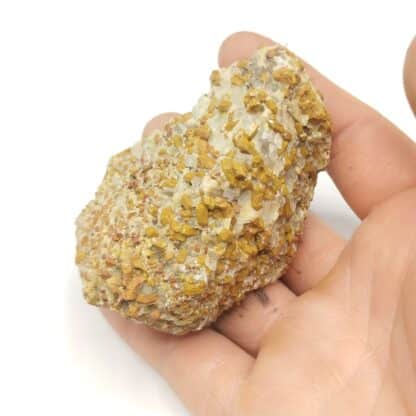 Quartz authigène & Calcite, Johanngeorgenstadt, Saxe, Allemagne.