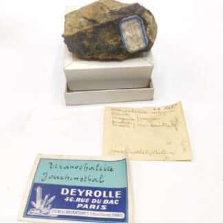 Liebigite & Zippéite, Joachimsthal (Jachimov), Tchéquie.
