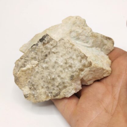Amblygonite & Turquoise, Montebras, Creuse.