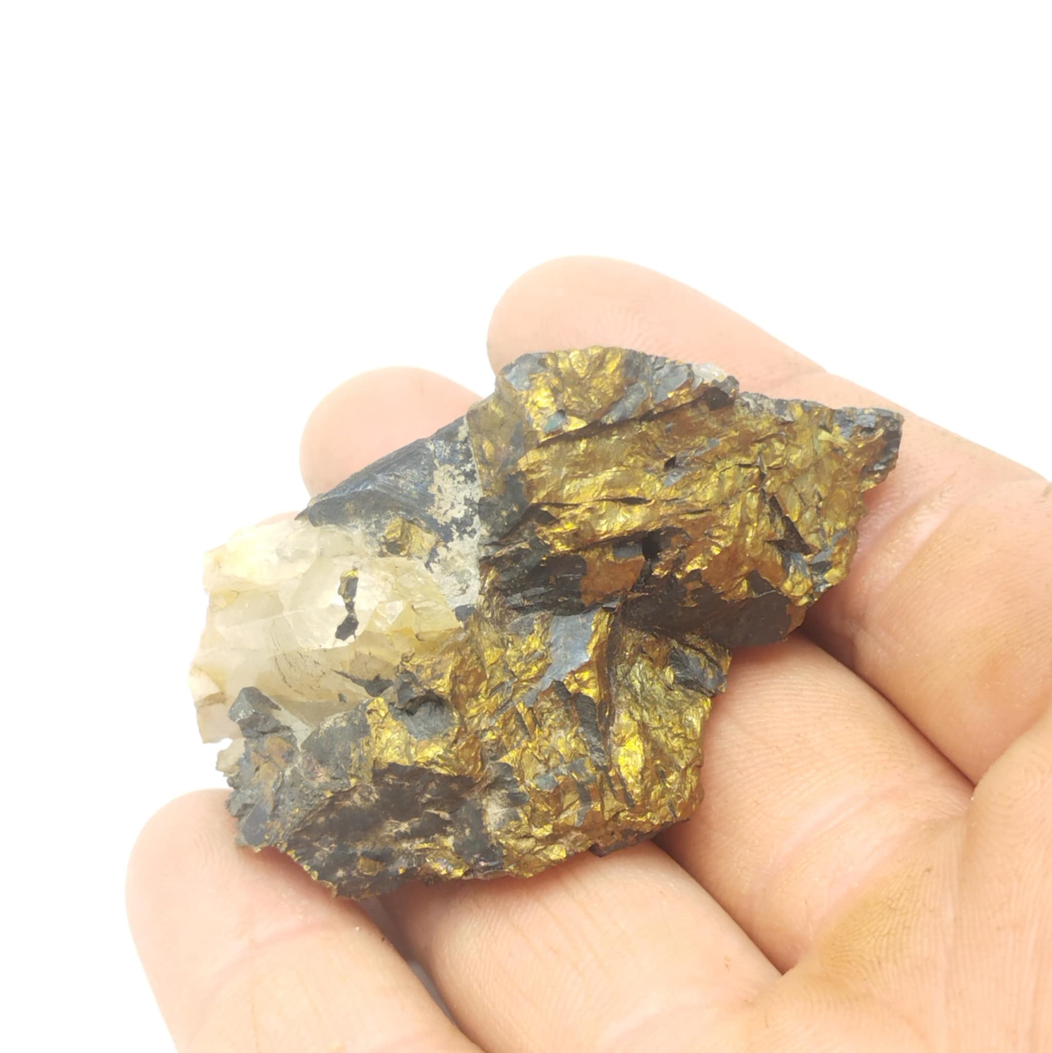 Chalcopyrite, Montées Pelissier, Les Houches, Haute-Savoie.
