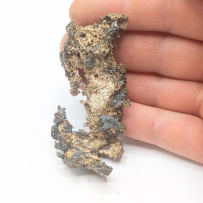 Argent natif (Kongsbergite), Imiter, Maroc.