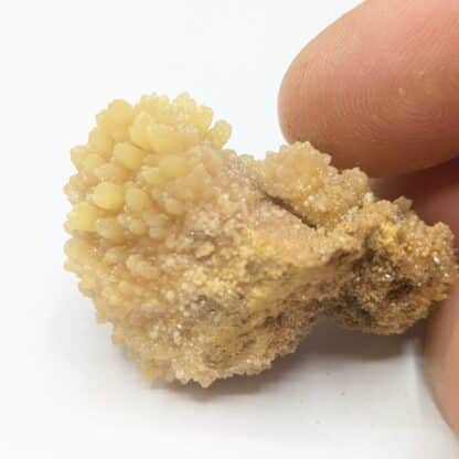 Mimétite, Santa Eulalia, Mexique.