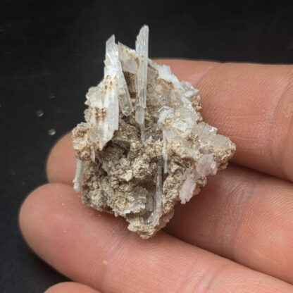 Meyerhofferite, Mott Prospect, Twenty Mule Team Canyon, Californie, USA.