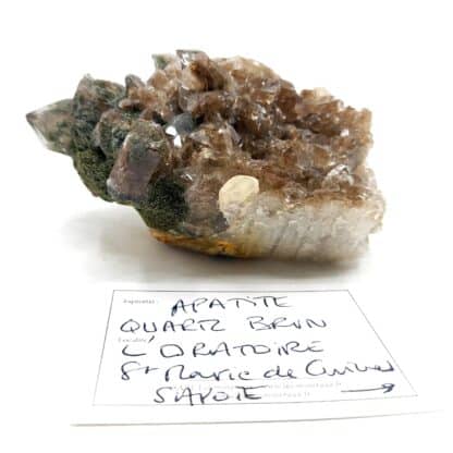 Apatite, Quartz, Sainte-Marie-de-Cuines, Saint-Jean-de-Maurienne, Savoie.