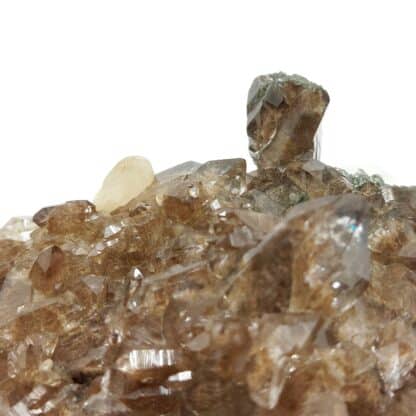 Apatite, Quartz, Sainte-Marie-de-Cuines, Saint-Jean-de-Maurienne, Savoie.