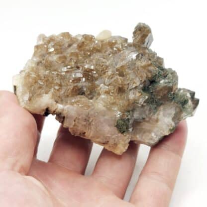 Apatite, Quartz, Sainte-Marie-de-Cuines, Saint-Jean-de-Maurienne, Savoie.