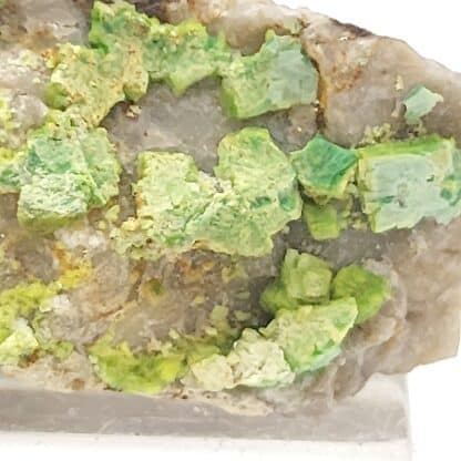 Torbernite, La Pigeyre, Altier, Mende, Lozère.