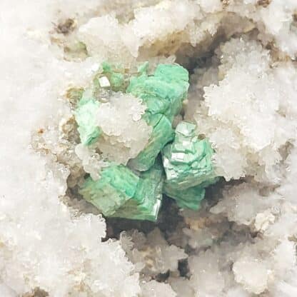 Torbernite, La Pigeyre, Altier, Mende, Lozère.