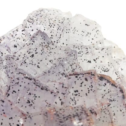Fluorine, mine de Maraval, Massif de Tanneron, Frégus, Var.