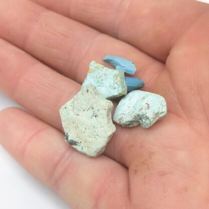 Odontolite (Turquoise), Simorre, Gers.