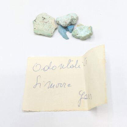 Odontolite (Turquoise), Simorre, Gers.