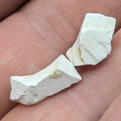 Peisleyite, Tom’s Phosphate Quarry, Koonunga, Australie.