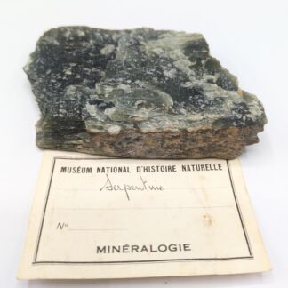 Serpentine, Ex. Collection Muséum National d’Histoire Naturelle.