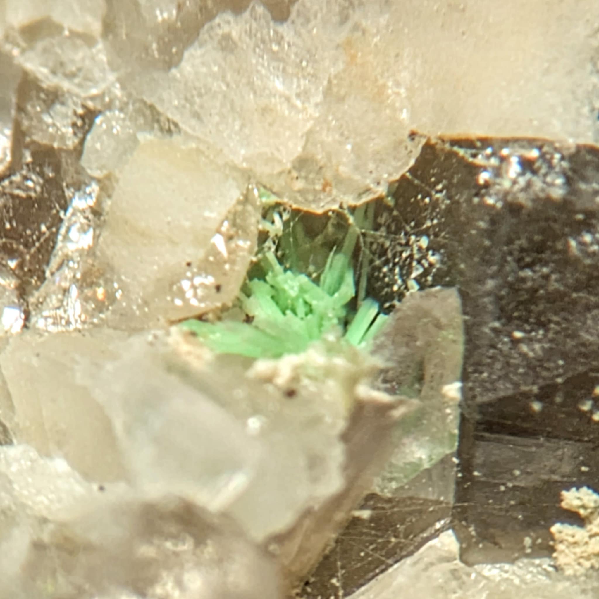 Ulrichite, Lake Boga, Victoria, Australie.