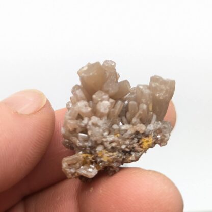 Pyromorphite, Bad Ems Nassau, Allemagne.