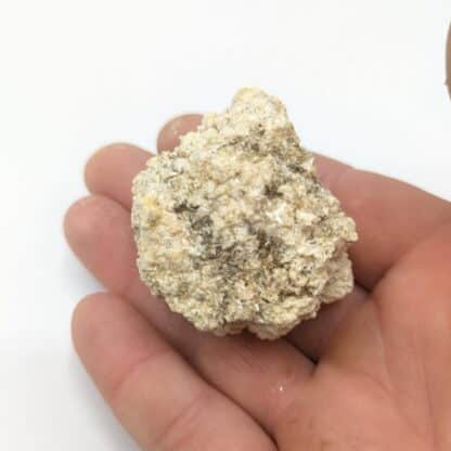 Pickeringite, Seilhols, Cantal.