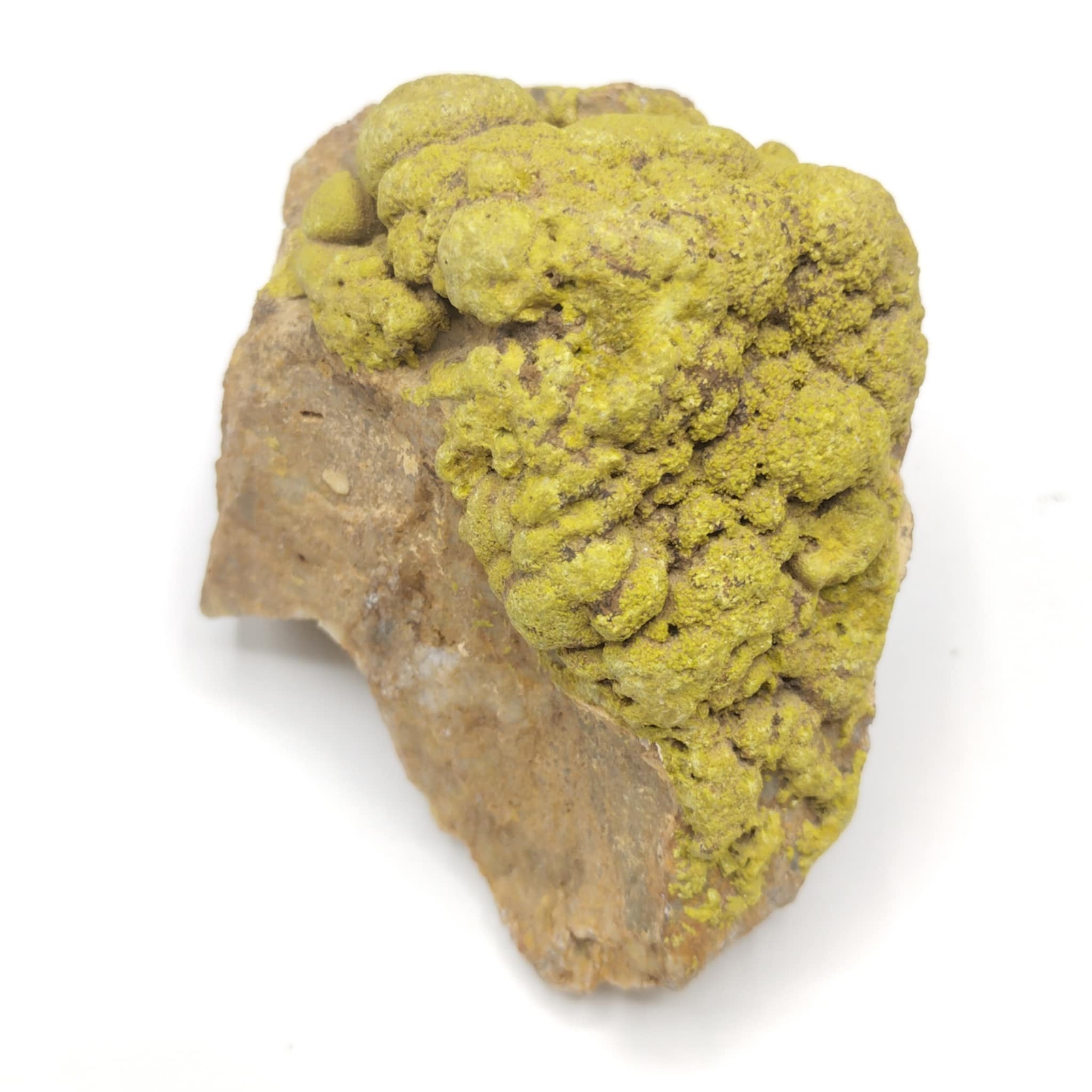 Pyromorphite arsénifère, Montagne de Vaudière, Pontgibaud, Puy-de-Dôme.