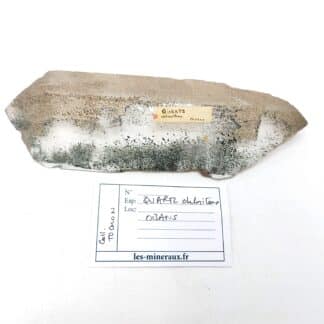 Quartz chloriteux (1 face polie), secteur Oisans, Isère.