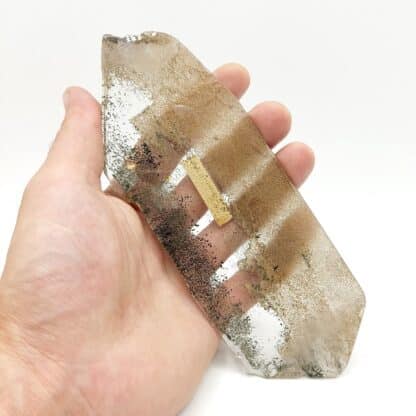 Quartz chloriteux (1 face polie), secteur Oisans, Isère.